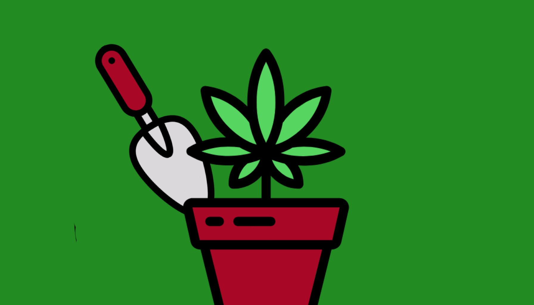 HEY CHRONIC | A READ WHEN STONED CHRONICLE