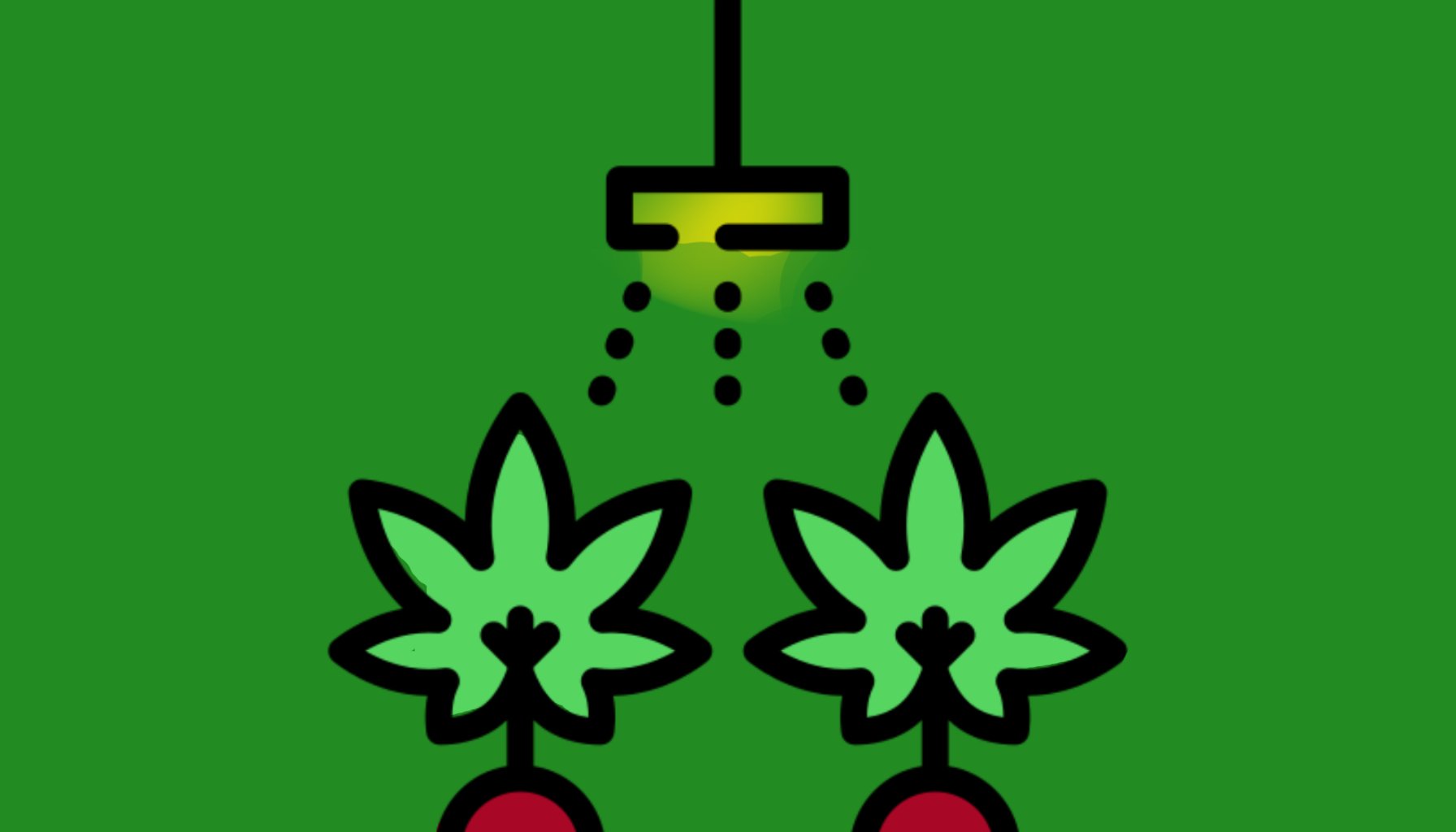 HEY CHRONIC | A READ WHEN STONED CHRONICLE